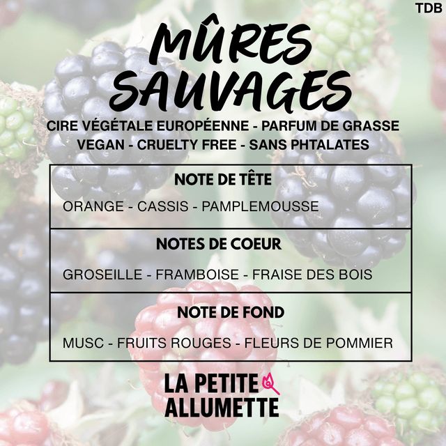 Murmure - mûres sauvages