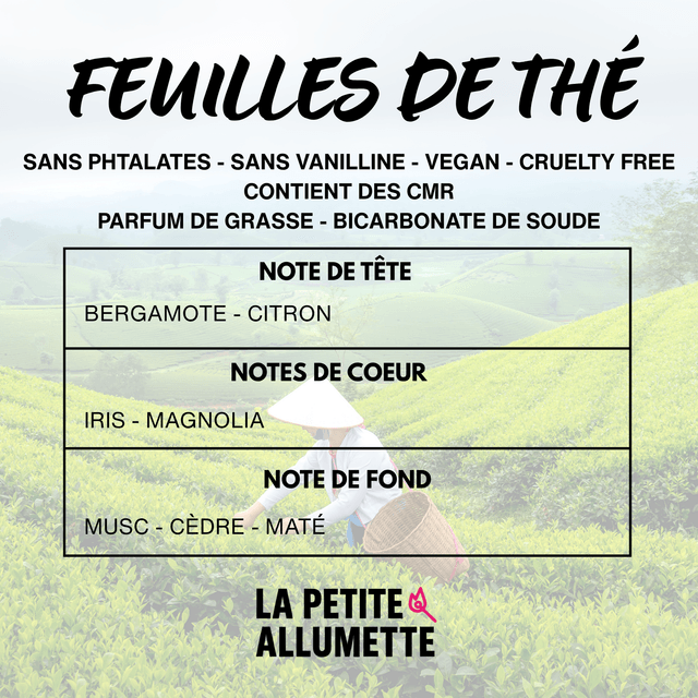 Les poudres
