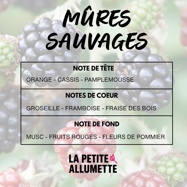 Les recharges pour fioles